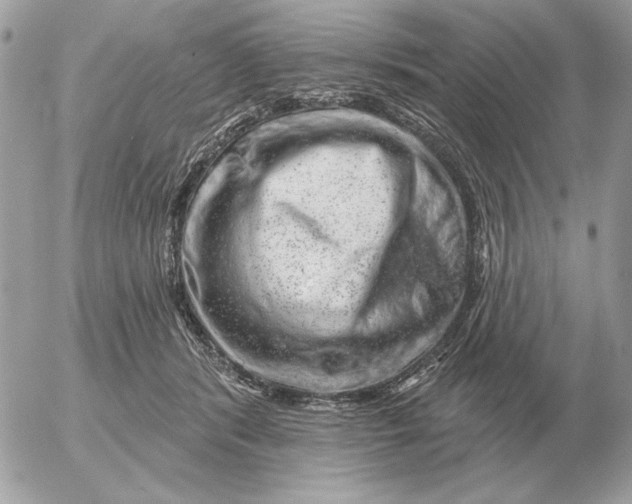 X0000052640416200507221820