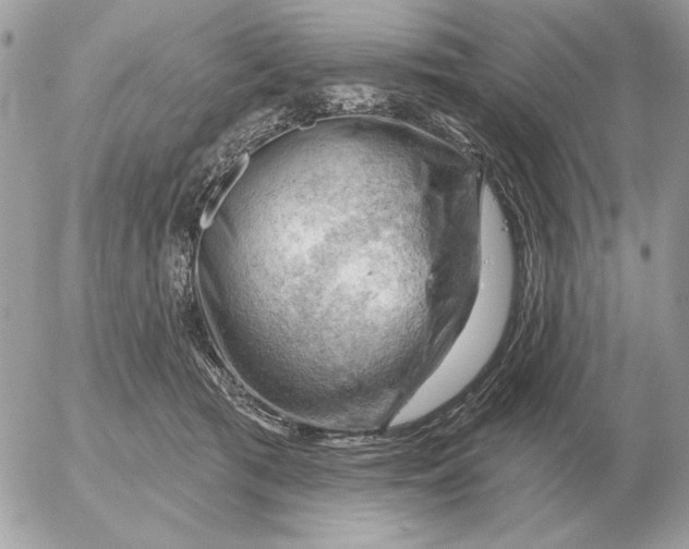 X0000052640417200507221820