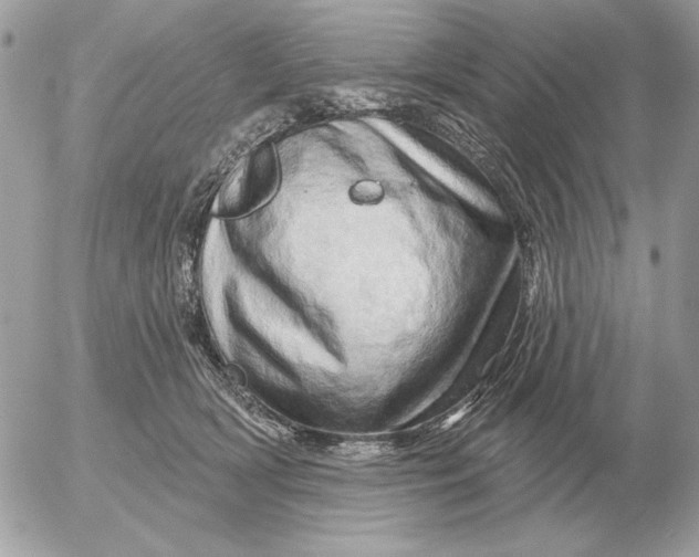 X0000052640418200507221820