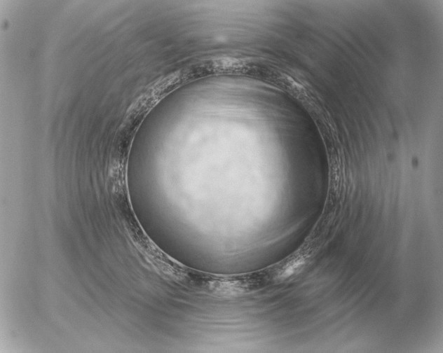 X0000052640419200507221820