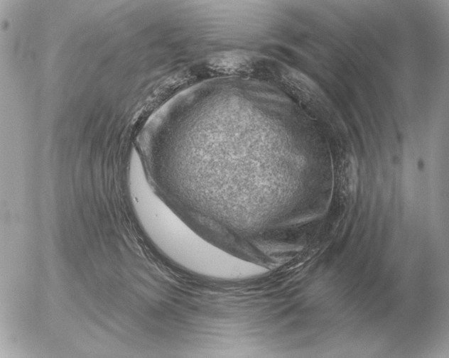 X0000052640420200507221820