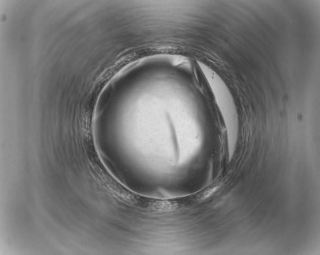 X0000052640421200507221820