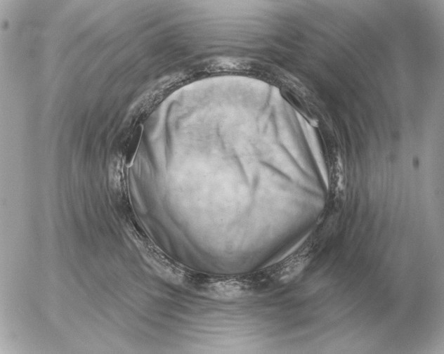 X0000052640423200507221820