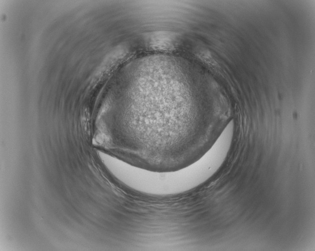 X0000052640424200507221820