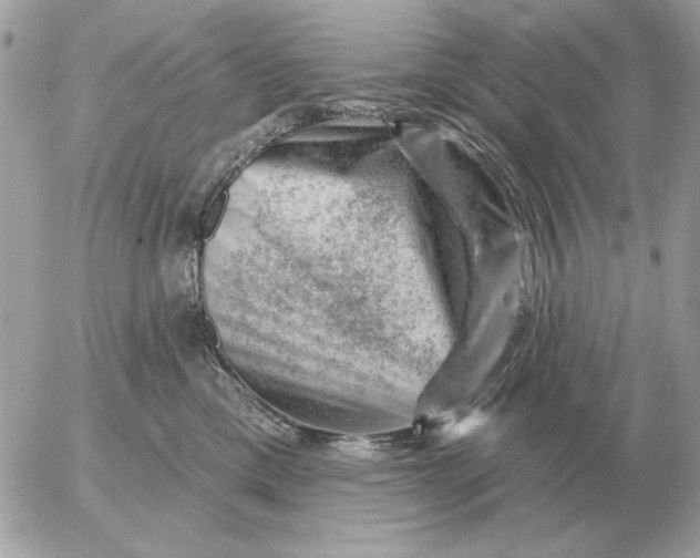 X0000052640425200507221820