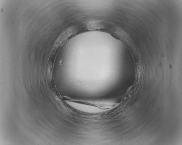 X0000052640426200507221820