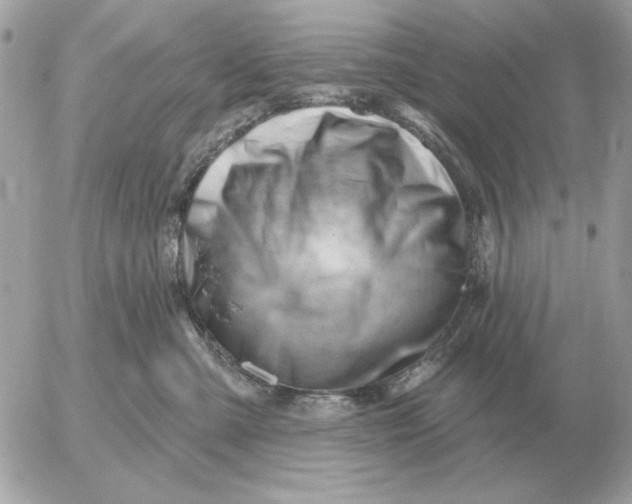 X0000052640427200507221820