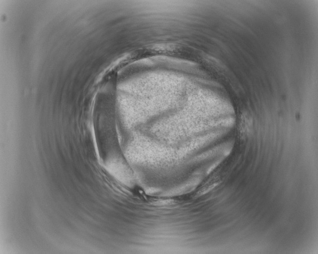 X0000052640428200507221820