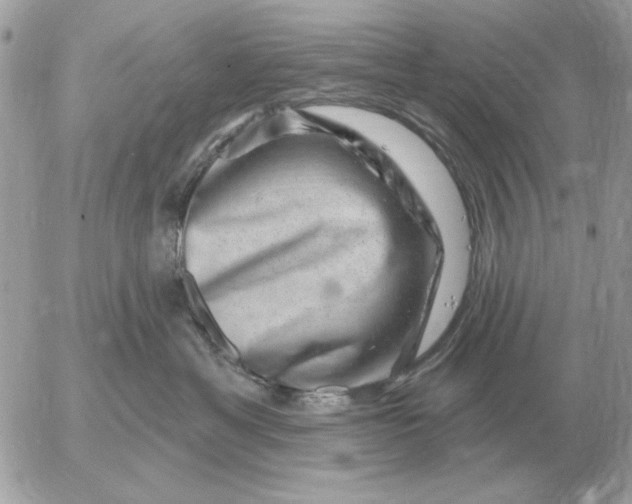 X0000052640429200507221820