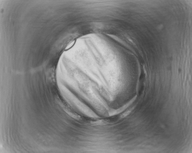 X0000052640430200507221820