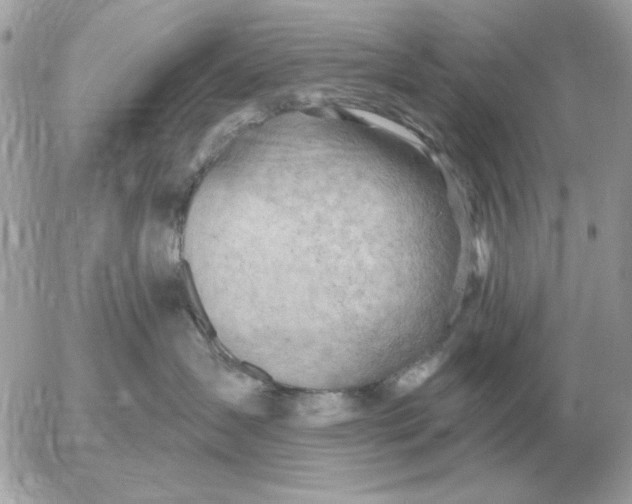 X0000052640431200507221820