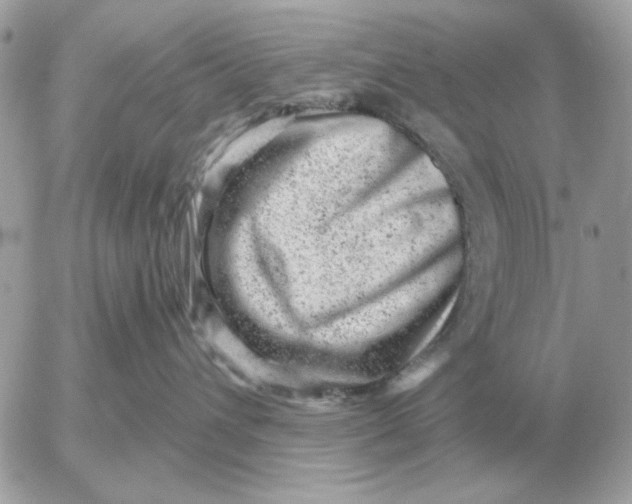 X0000052640432200507221820