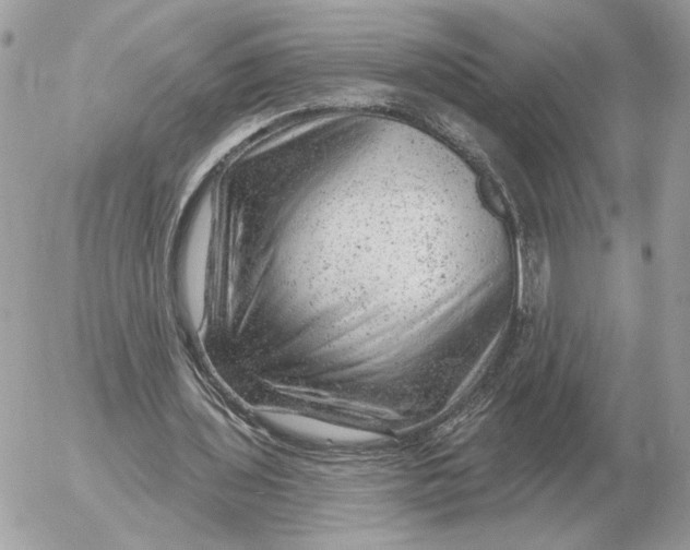 X0000052640435200507221819