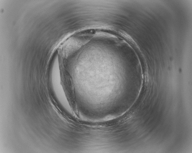 X0000052640436200507221819