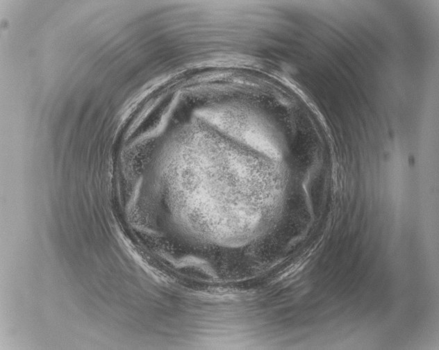 X0000052640437200507221819