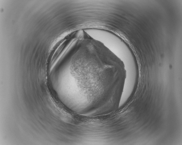 X0000052640438200507221819