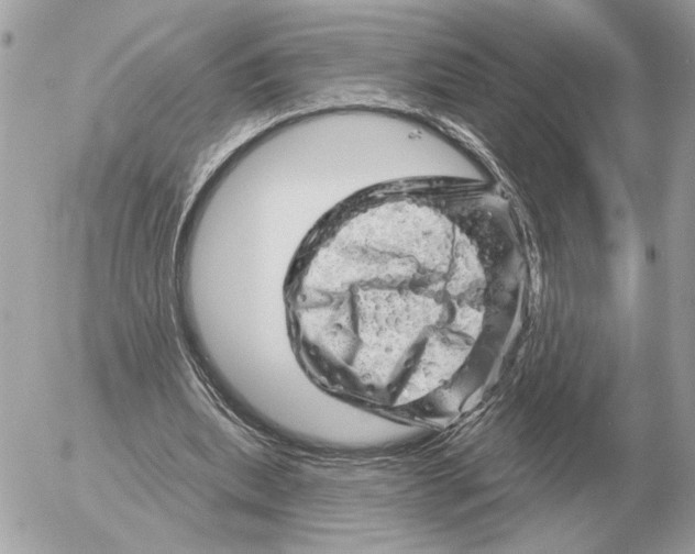 X0000052640439200507221819