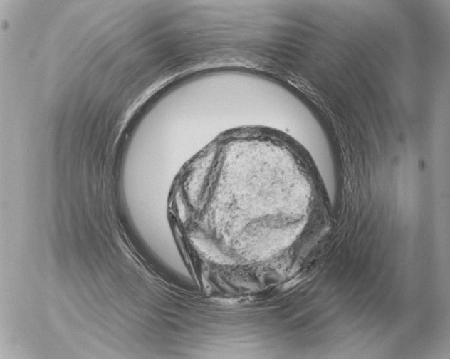 X0000052640440200507221819