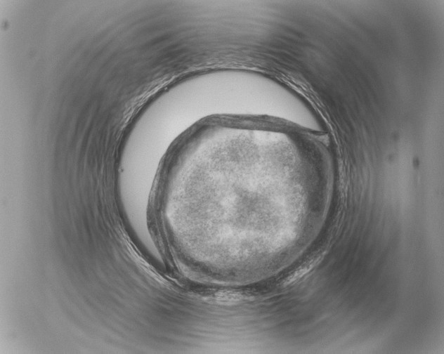 X0000052640441200507221819