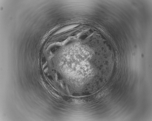 X0000052640442200507221819