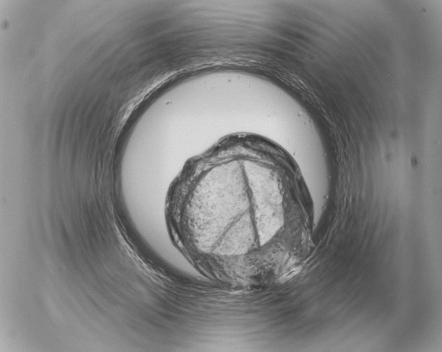 X0000052640444200507221820