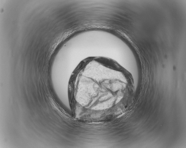 X0000052640447200507221820