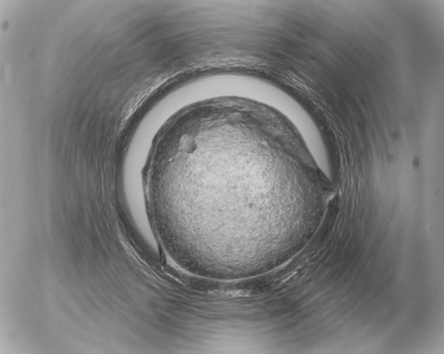 X0000052640448200507221820