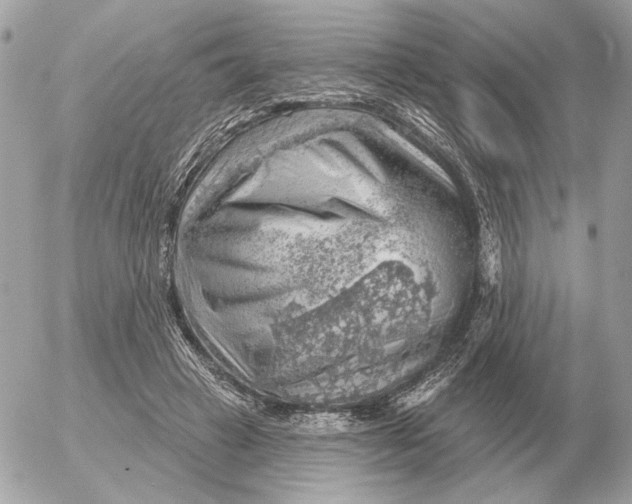 X0000052640449200507221820