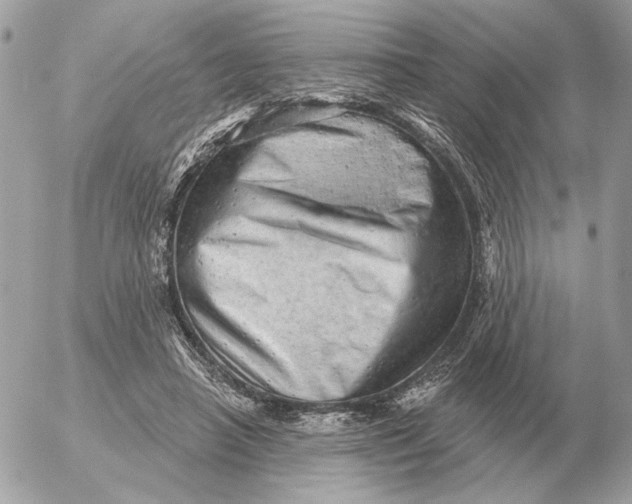 X0000052640450200507221820