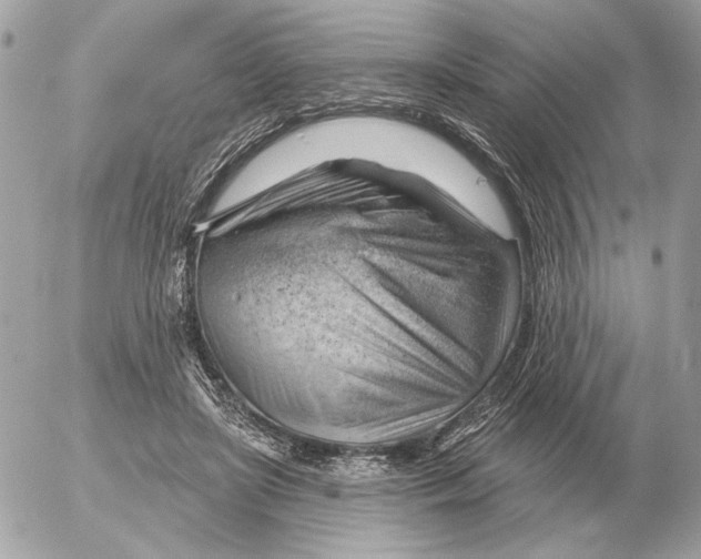 X0000052640451200507221820