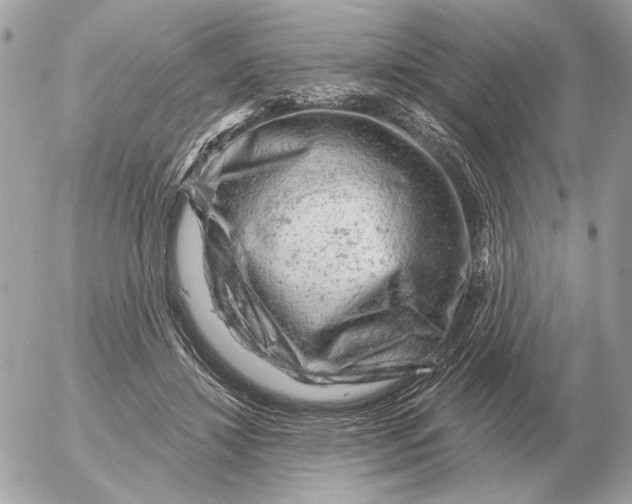 X0000052640452200507221820