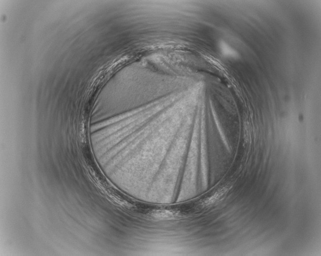 X0000052640453200507221820