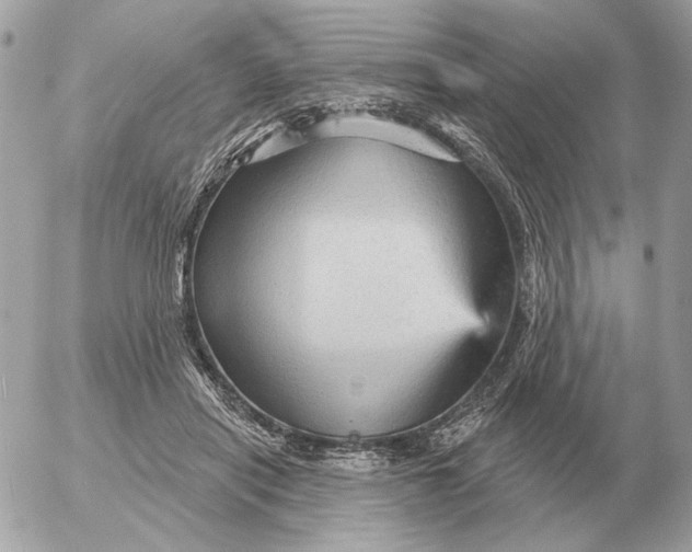 X0000052640454200507221820