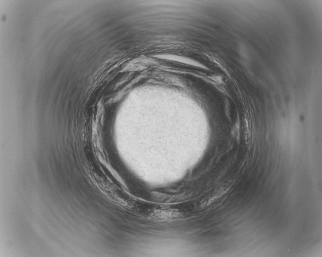 X0000052640455200507221820