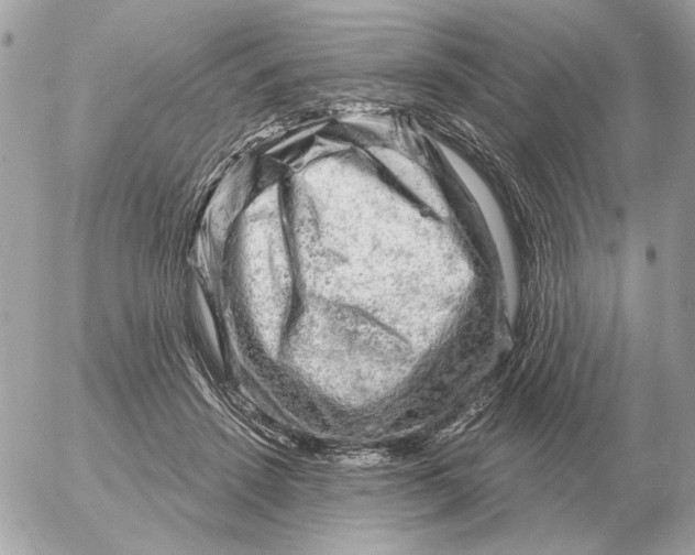 X0000052640456200507221820