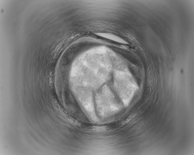 X0000052640457200507221820