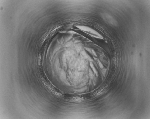 X0000052640458200507221820