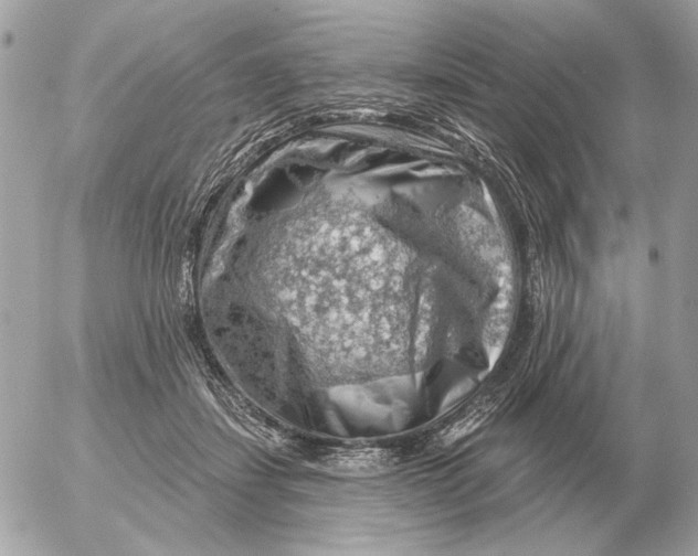 X0000052640459200507221820