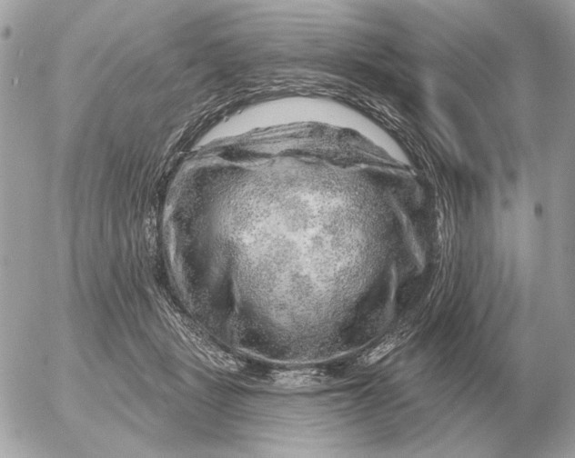 X0000052640461200507221820