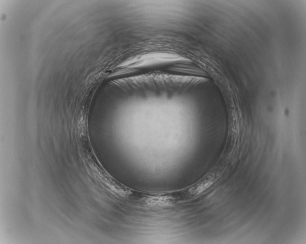 X0000052640465200507221820