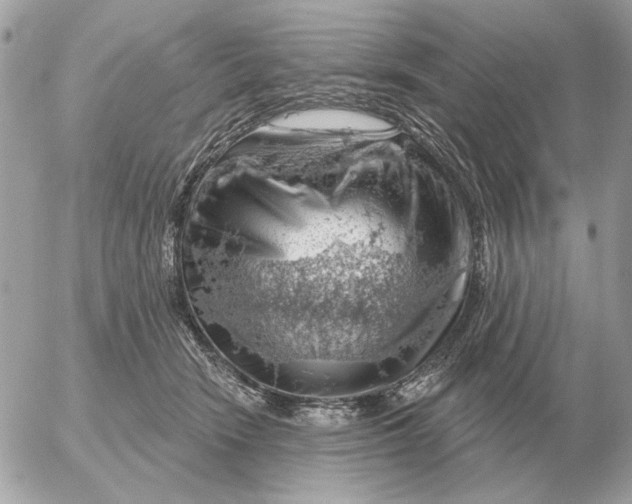 X0000052640466200507221820