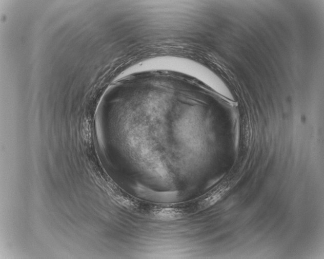 X0000052640467200507221820