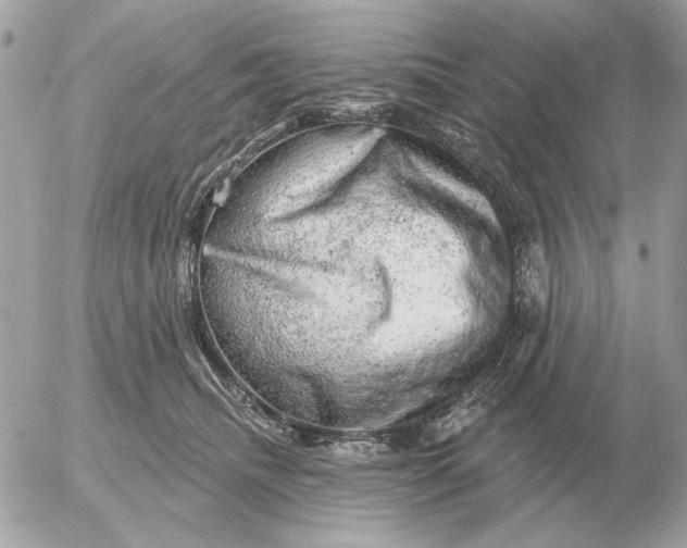 X0000052640468200507221820