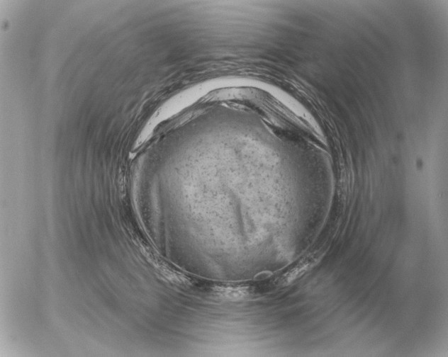 X0000052640469200507221820