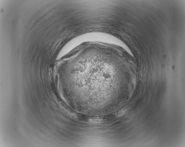 X0000052640470200507221820