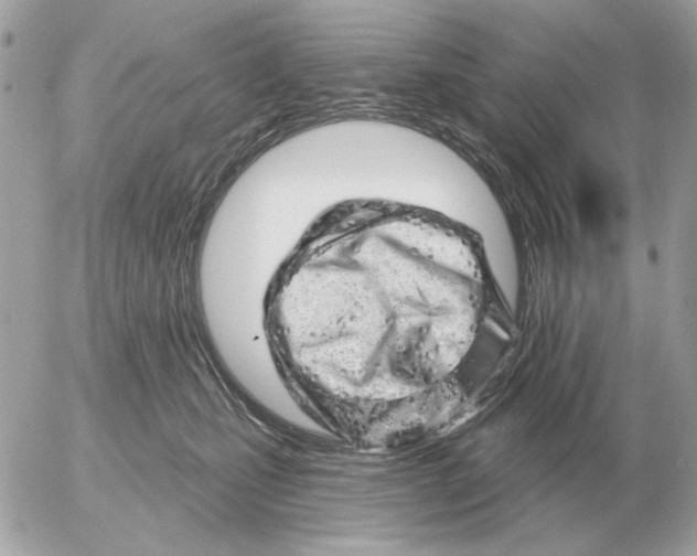 X0000052640471200507221820