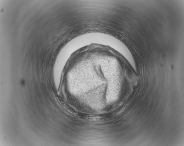 X0000052640472200507221820