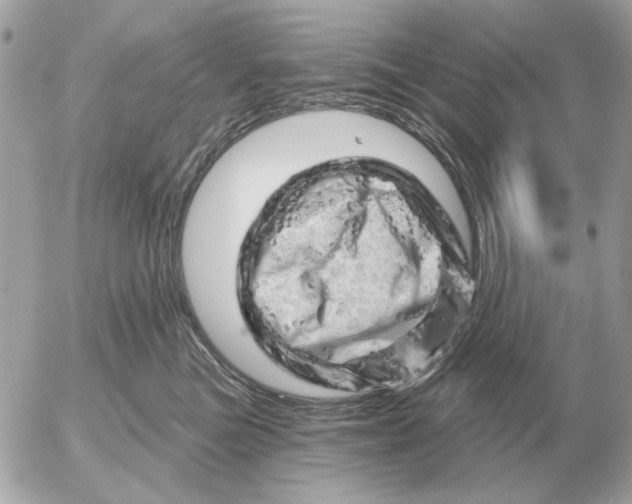 X0000052640473200507221820