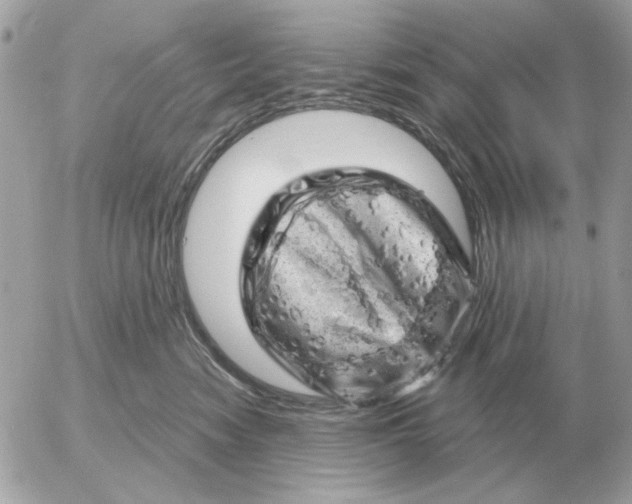 X0000052640474200507221820