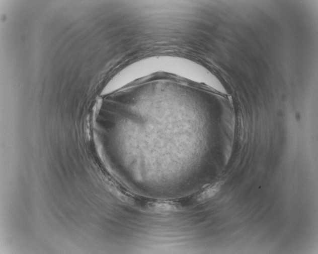 X0000052640475200507221820